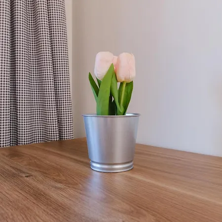 Charm 1-bedroom Апартаменты